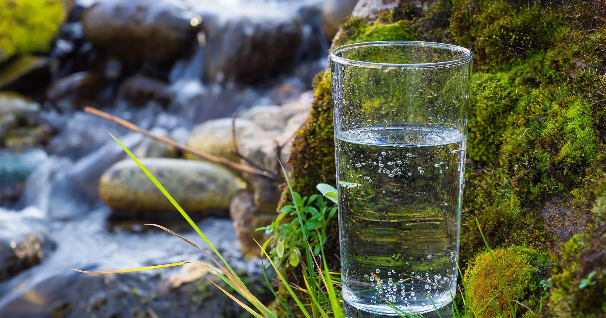 pure well water anna il